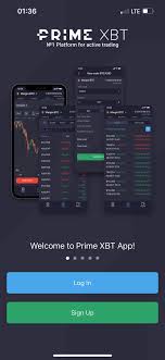 Mastering Forex Trade PrimeXBT A Comprehensive Guide for New Traders