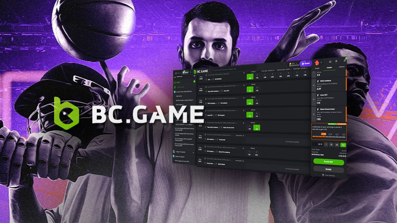 Sensation - BC Game Crash The Ultimate Gaming 2